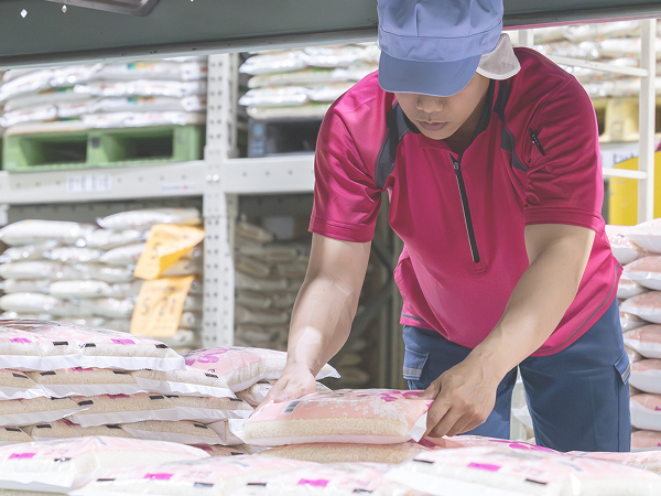 毎日元気に出荷中