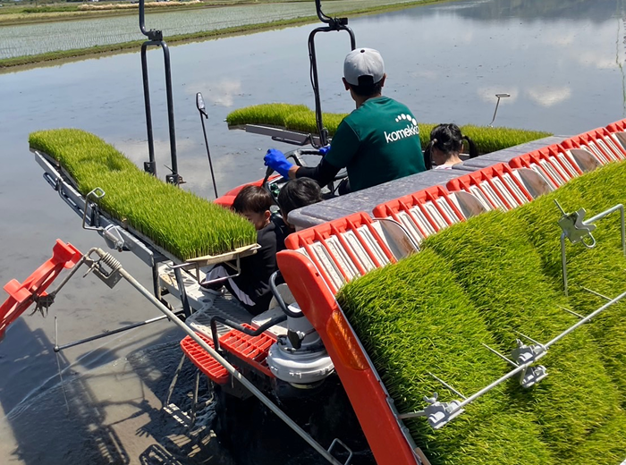新米集荷時期の精米フロー